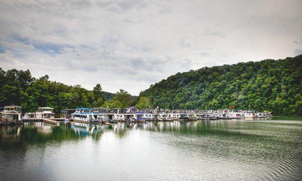 Safe Harbor Wisdom Dock