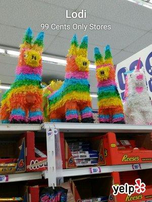 Ready for a summer Fiesta!