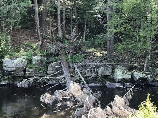 Resica Falls Scout Reservation-Valley Forge