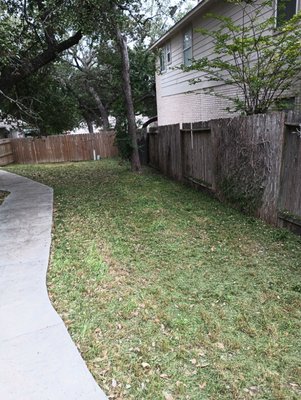 Another fresh cut yard!  Guess I'm a lawn barber