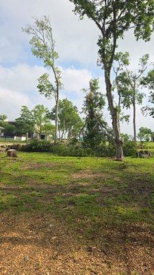 Trees removal arfter storm.