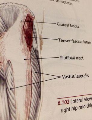 Photo from Jane's anatomy book. Areas to self massage.