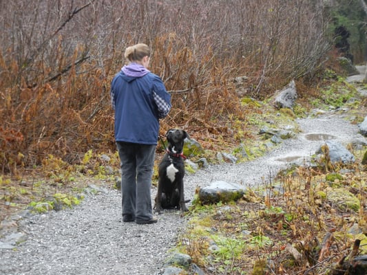 Triton on a hike