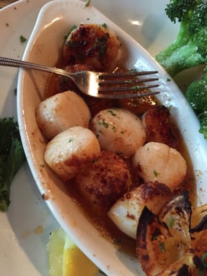 Scallops yumm!