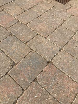 Paver Restoration