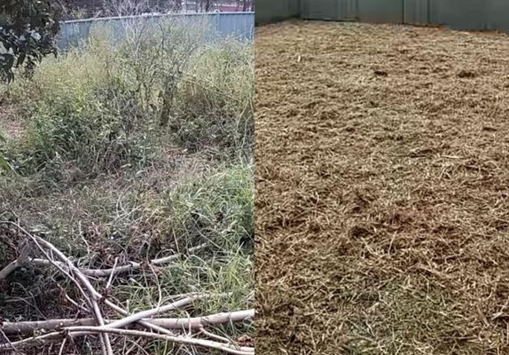 Before and after yard clean up