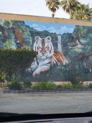 Mural on side of Car Wash