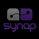 Synap - Custom Software Development