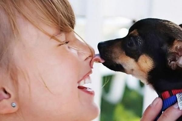 Scooter (therapy dog) and friend