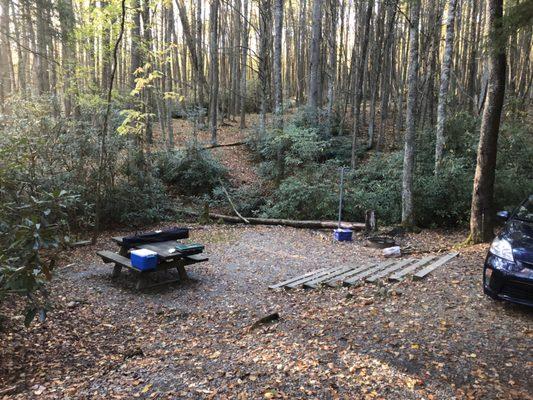 Camp site at bear tree campground