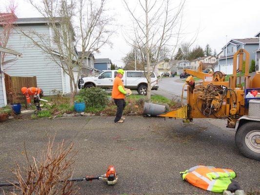 Mike's Affordable Tree Service