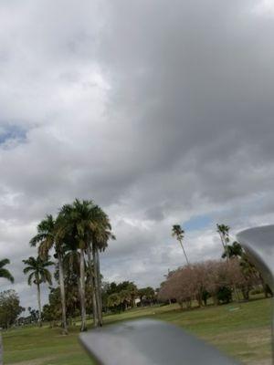 View from putting green