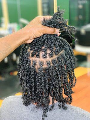 Two strand twist starter locs