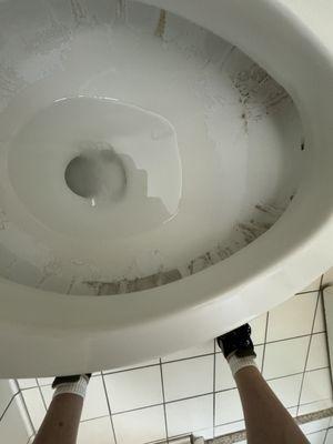 The toilet bowl in the first room. I did try to flush it to see if the black mold would go away.