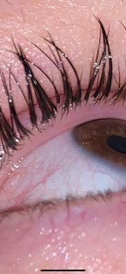 Example of how 3-4 natural eyelashes were glued to one false eyelash, with a ton of glue.