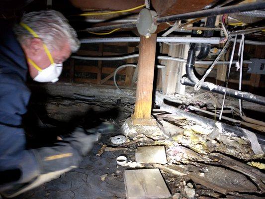 Jon pointing out rotting posts in the crawlspace. (Note he's wearing the special crawling gloves he's invented!)