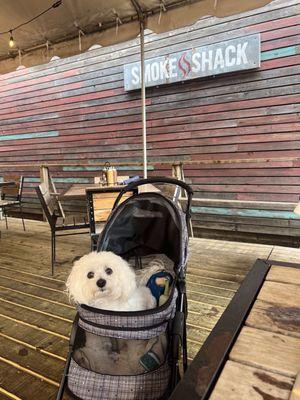 Rosy is always welcome at the Smoke Shack and they have a dog menu