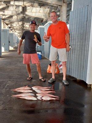 Red snapper limit