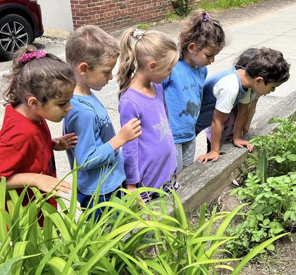 Echo Falls Preschool