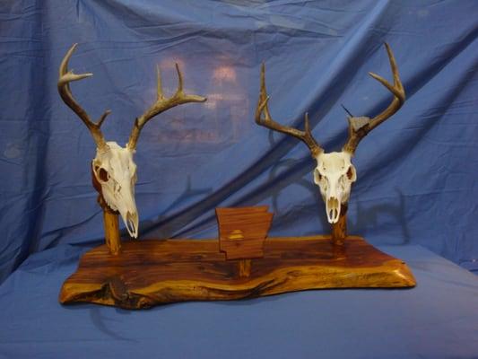 Trophy Mount