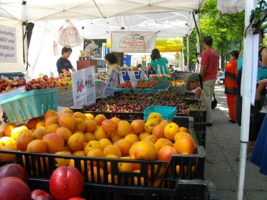 Enjoy our fresh Produce at the Farmer's Market on Skillman Avenue on Saturdays