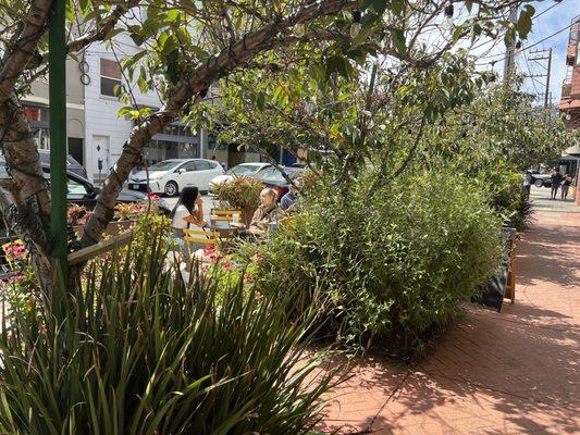 Great parklet/garden out front!