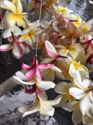 Let's have fun making lei.