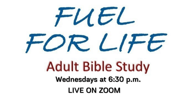 Adult Online Bible Study