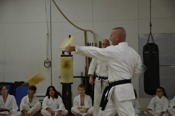 Isshin Ryu Karate Academy