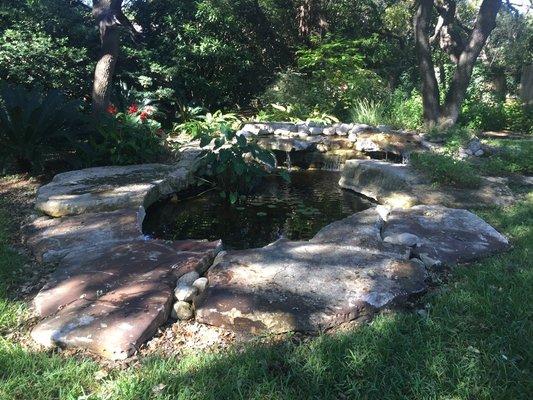 Residential pond in San Antonio, TX