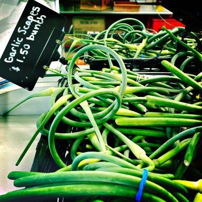 Garlic scapes