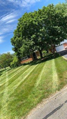 Commercial/Residential finishing mowing !