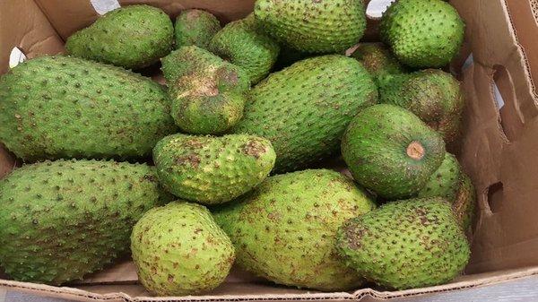 Fresh guanaba (Soursop) is in season and available at El Nuevo Mundo market.