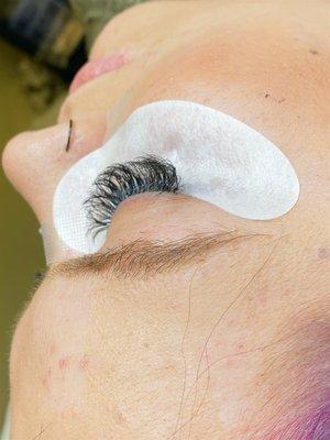 Lash extensions (full volume) $185