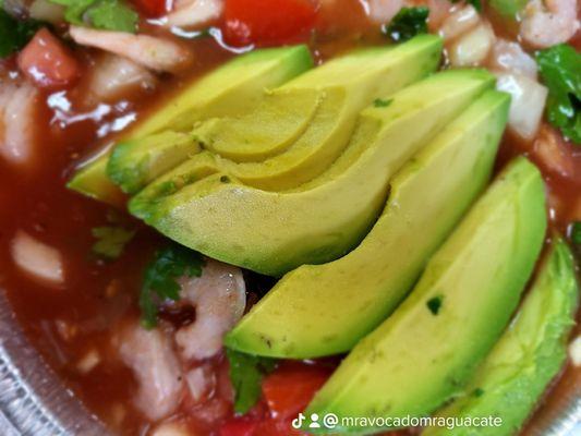 Ceviche  Avocado