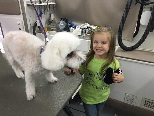 Senior bichon and Lilly