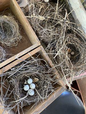 Nests from the farm.