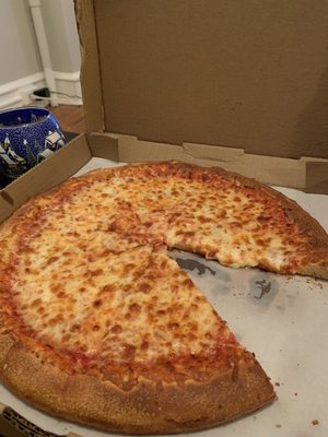 Large plain pie