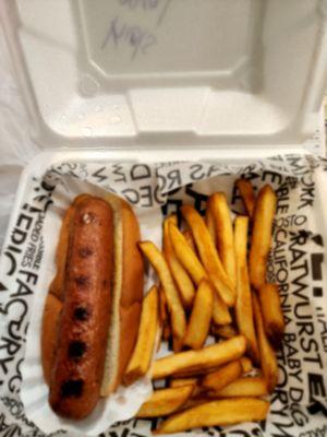 Plain hotdog with fries