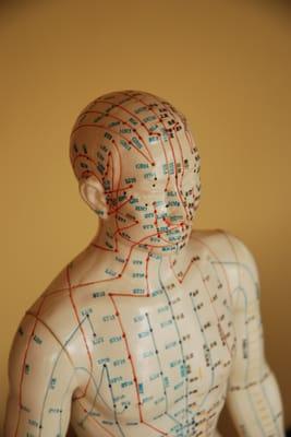 Acupuncture is a complete system of medicine.  Please call or email to make an appointment.