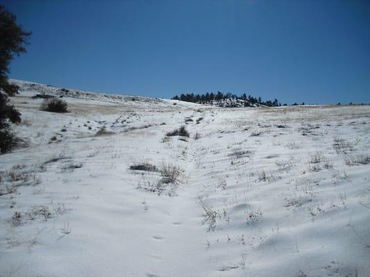 The high meadow in the snow.