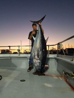 198.2 lb bluefin tuna