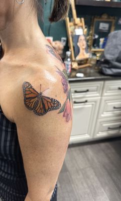 Monarch butterflies  1/2024 By Chrissy