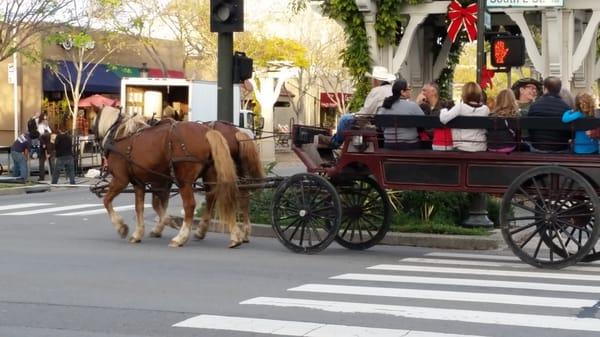 Horse drawn carriage