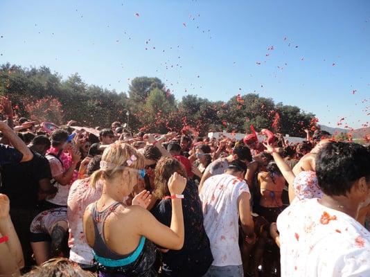 tomato battle, pic by yayplanner