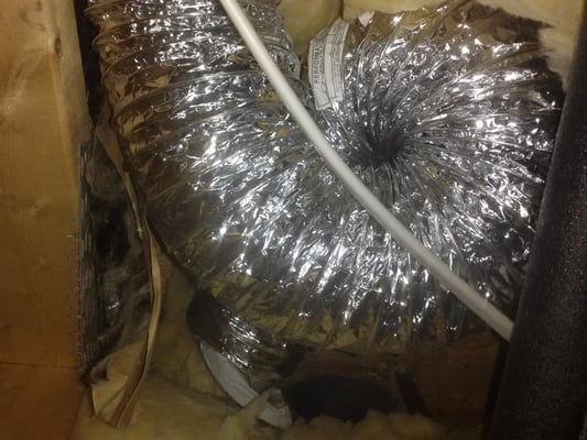 This twist in the vent was at the end of th run. I found this hiding behind the insulation in the ceiling.