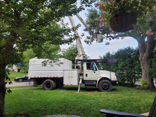 Scottscape Tree Service