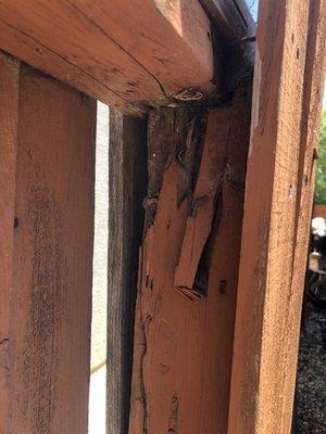 Rotted fence