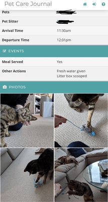 Pet Care Journal example