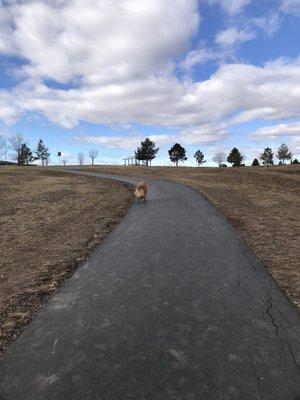 Cali stays on the path for the most part even though she could go anywhere within acres of the park.